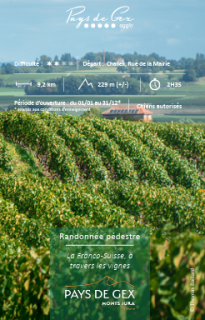 Hiking - La Franco-Suisse, through the vineyards