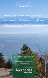 Hiking - Echenevex - Branveau - Montchanais