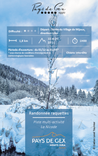Snowshoe hike - La Nicode