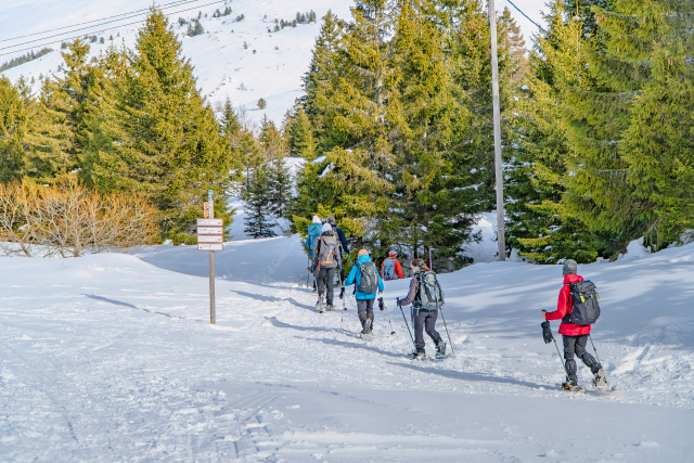 Activit&eacute;s & Visites