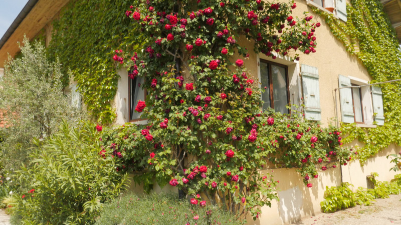 p1330701.jpg p1330701.jpg