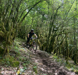 Descente en VTT