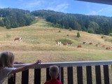 Vue du balcon été