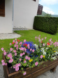 dsc06179.jpg
