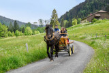 abcreationphoto-2-303603