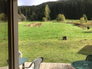 Vue depuis la terrasse