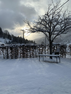 Jardin Hiver Jardin Hiver