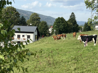 En été
