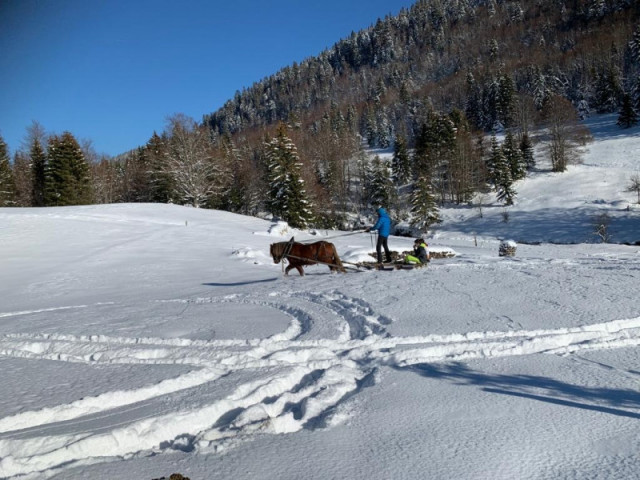 paysage hiver paysage hiver