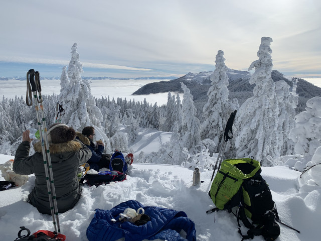 poutouille-2-383768 poutouille-2-383768