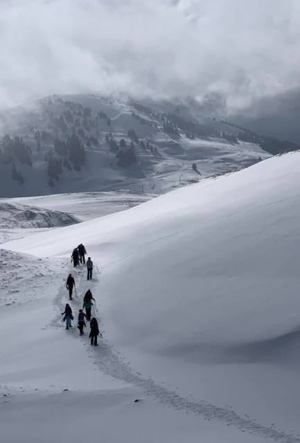 raquette-douce-1-385840 raquette-douce-1-385840