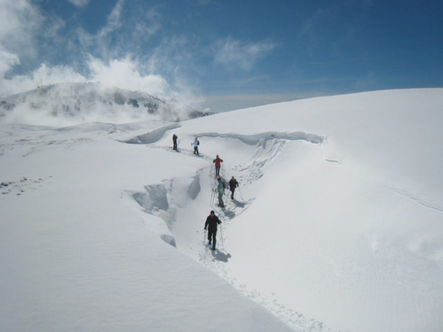 raquette-douce-2-385841 raquette-douce-2-385841