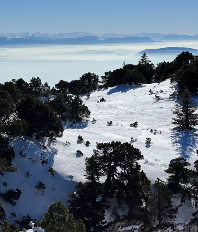 Les Monts Jura en hiver.