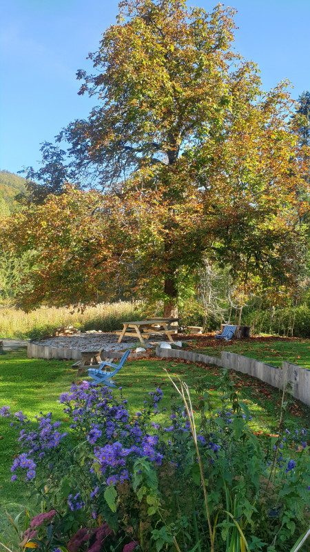 Jardin Eté