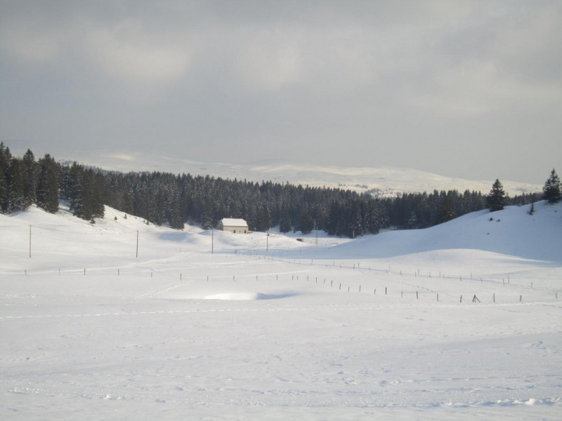 montagnes du Jura depuis le plateau de Bellecombe