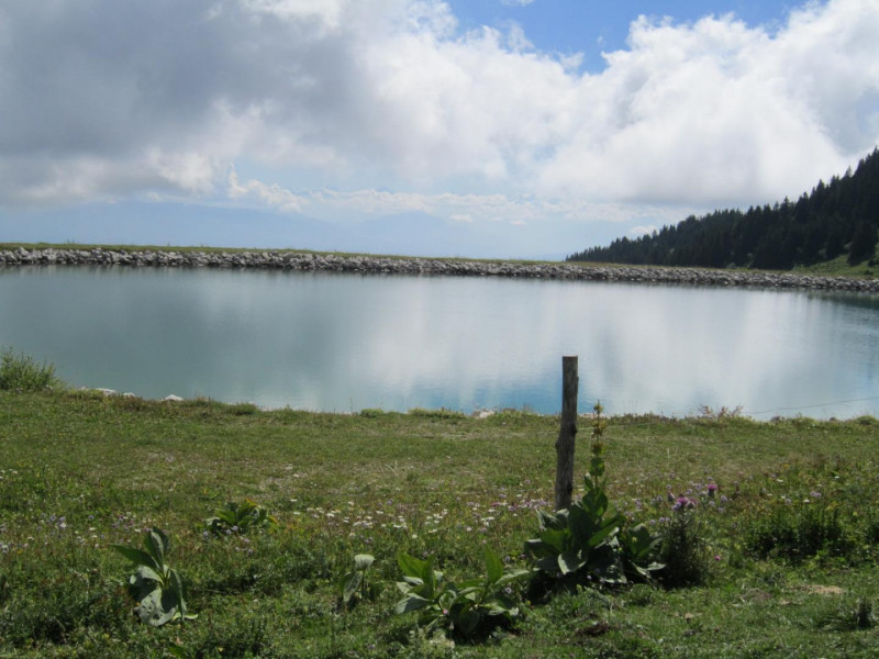 Lac artificiel pour neige de culture