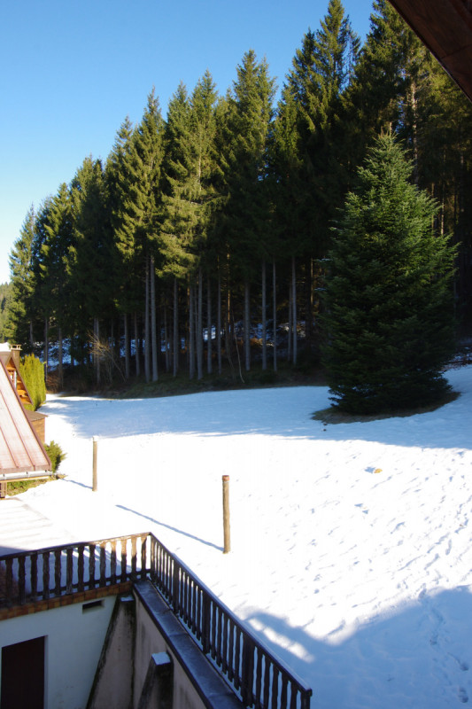 Vue chalet sur Forêt