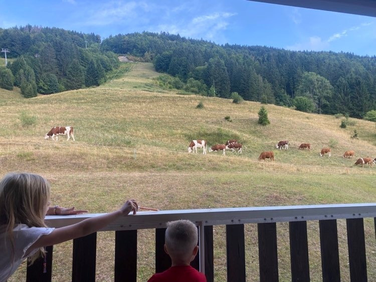 Vue du balcon été