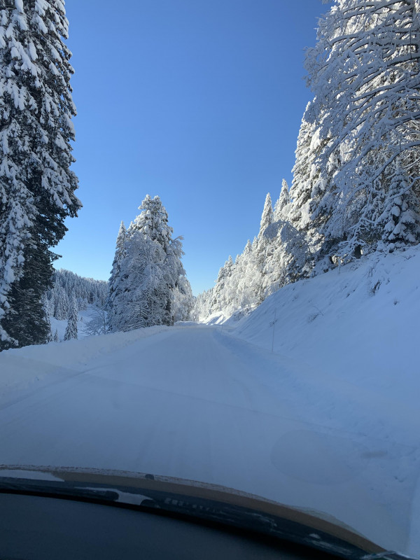 Neige