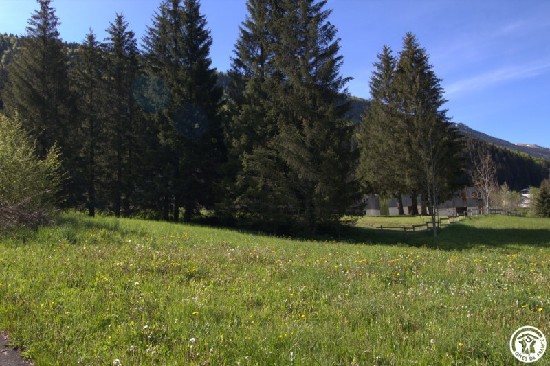 30407076.jpg.jpg