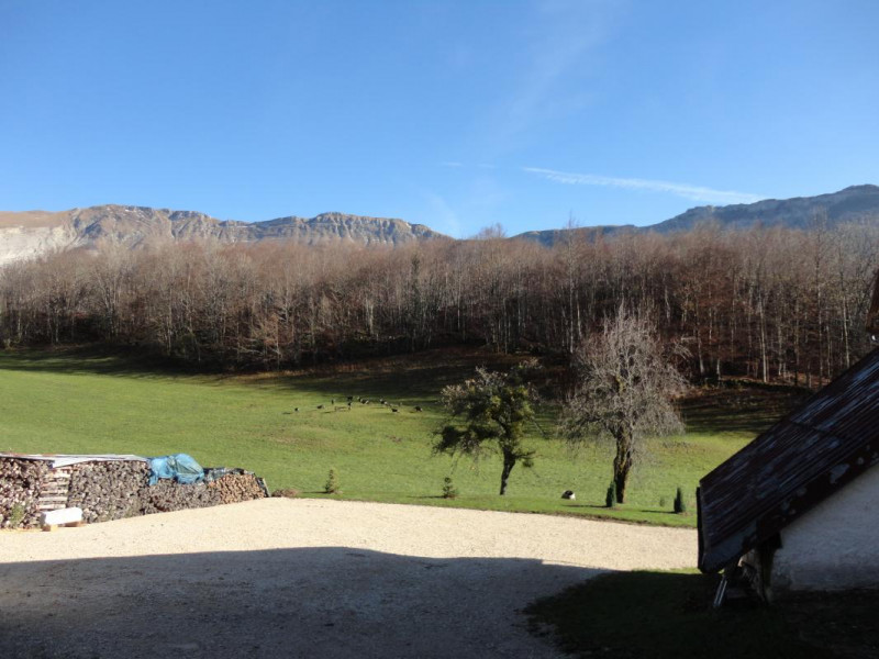 La clairière aux chamois vue depuis le gîte