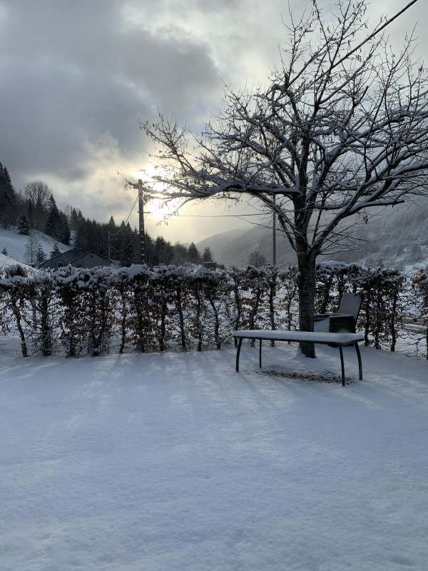 Jardin Hiver