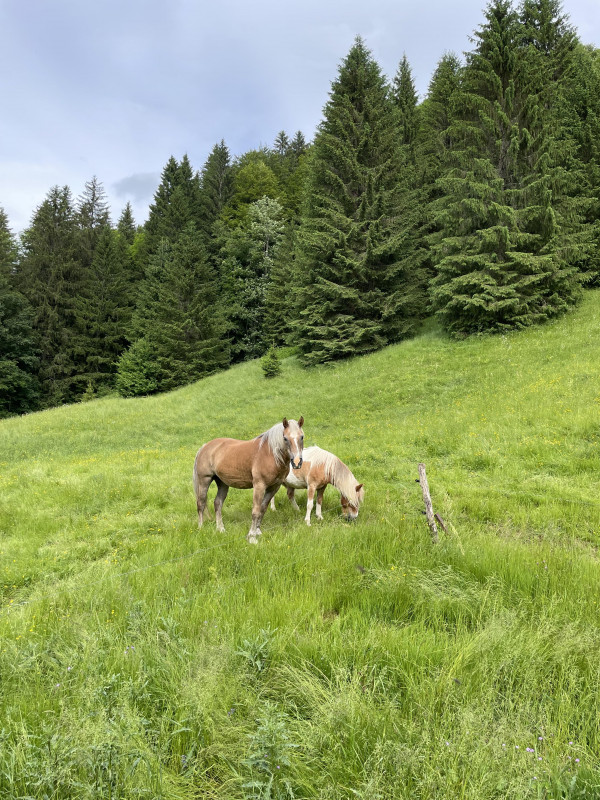 Jardin - © AG Jardin