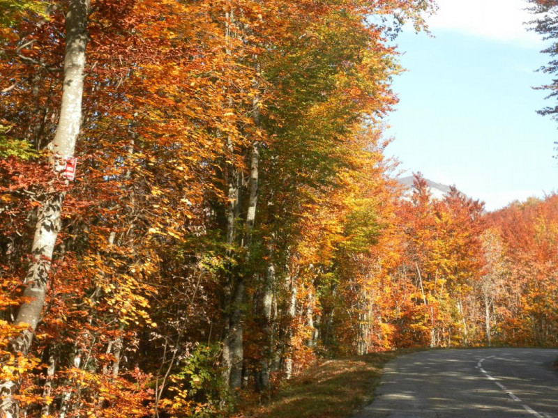 l'accès au gîte en automne