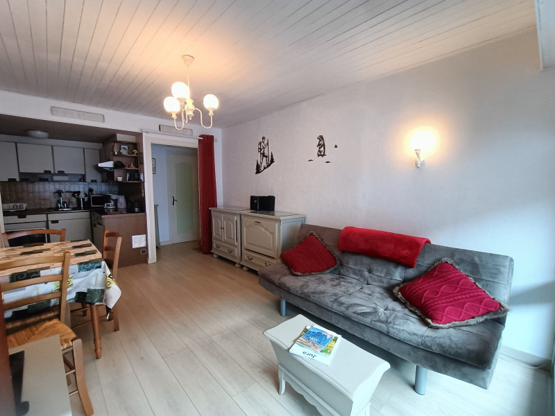 Living room / Dining room