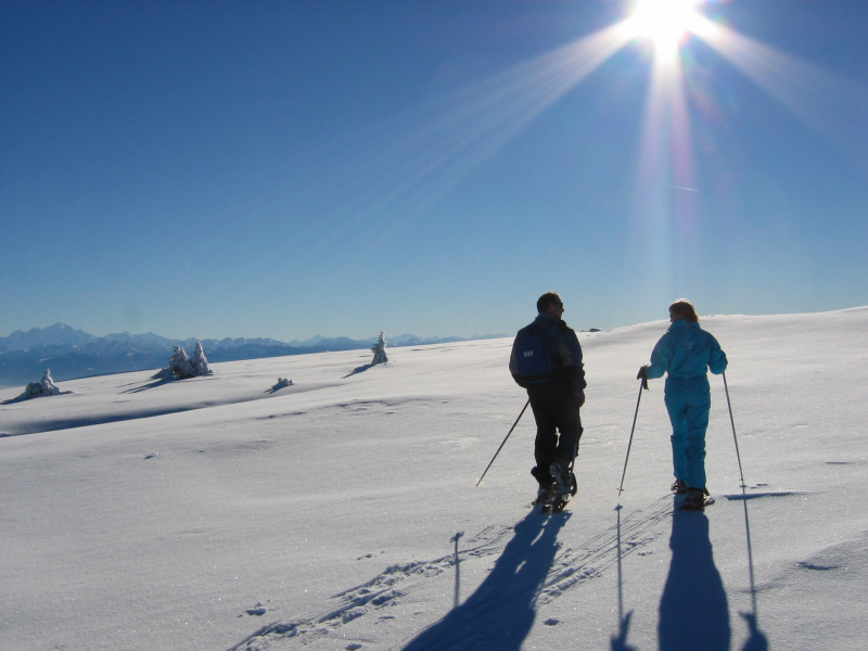 autour-du-cr-t-de-la-neige-386020